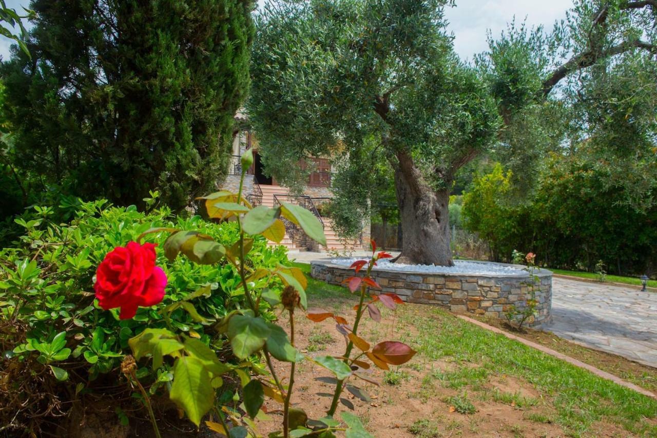 Villa Anna Nea Skioni Extérieur photo